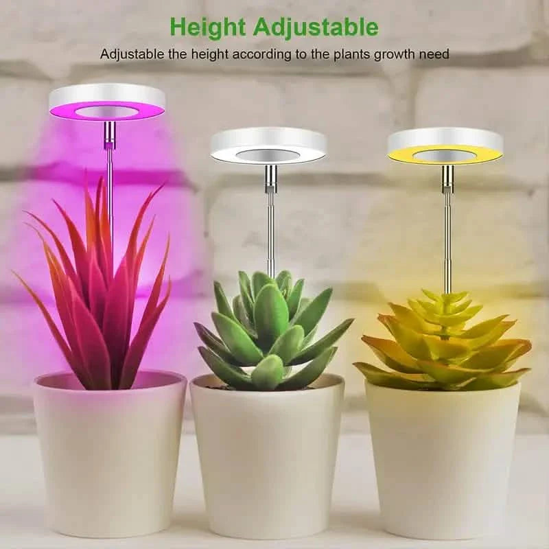Full Spectrum LED Halo Plant Light With Stand Height Adjustable Auto Timer DailySale