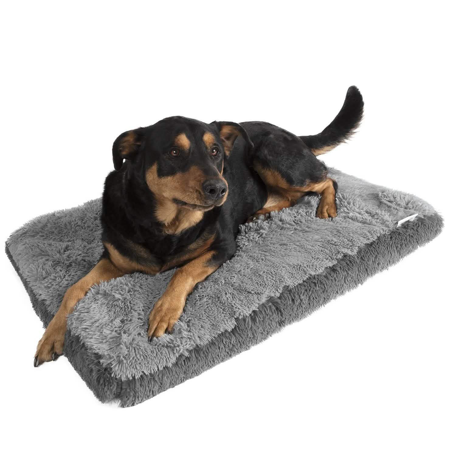 Fuzzy Pet Bed DailySale