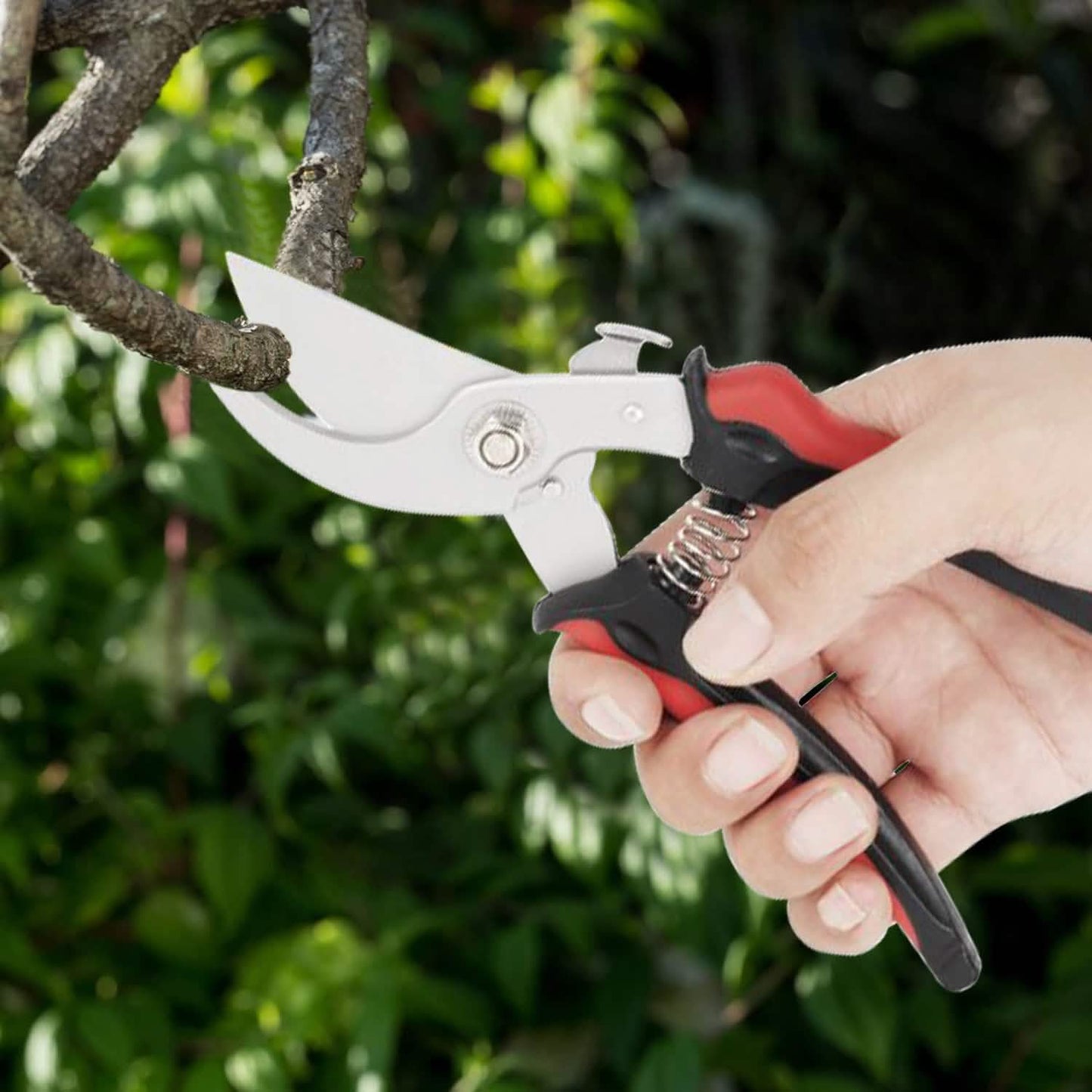 Garden Prune Shears DailySale