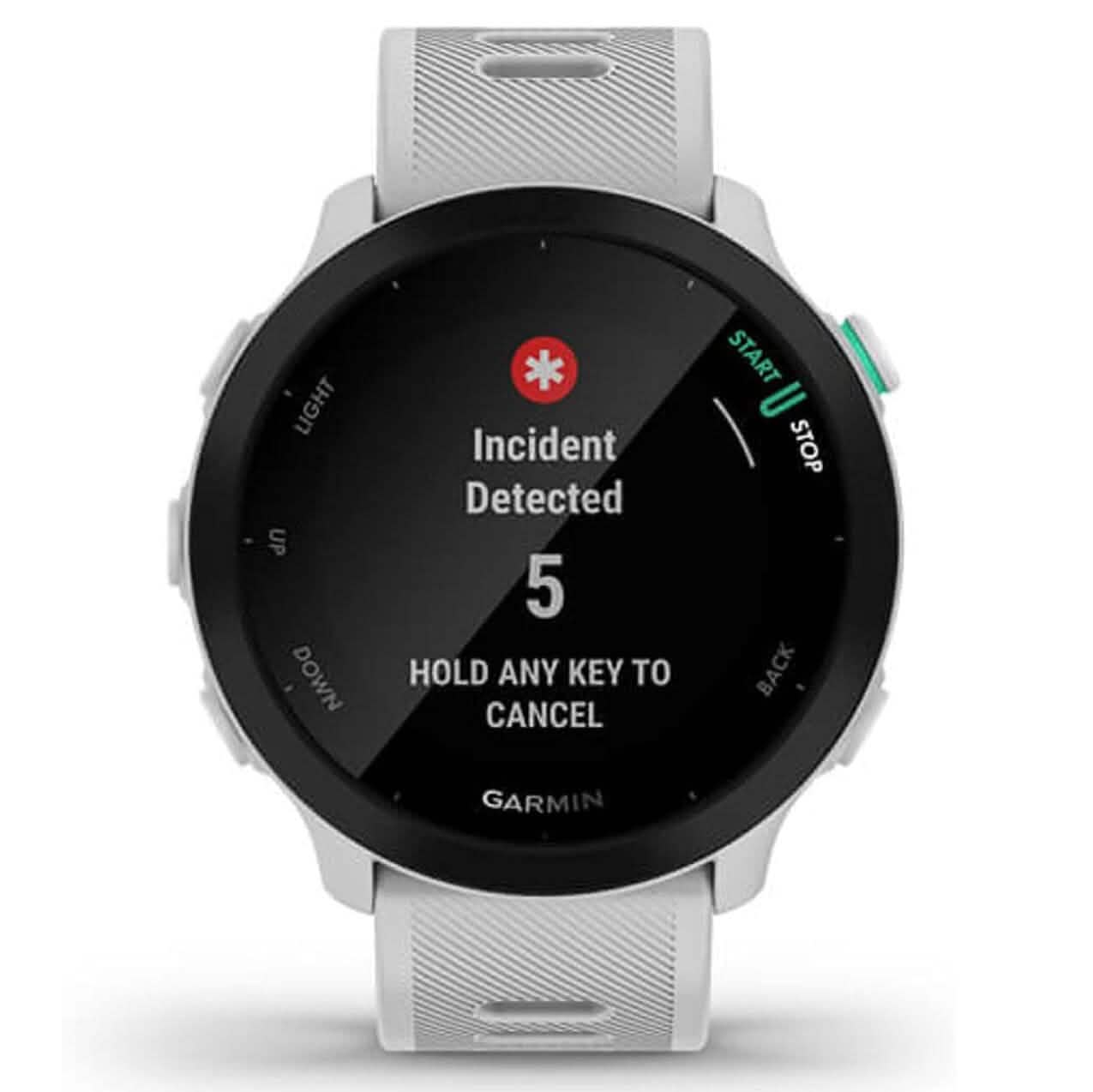 Garmin Forerunner 55 GPS Running Watch  (Refurbished) DailySale