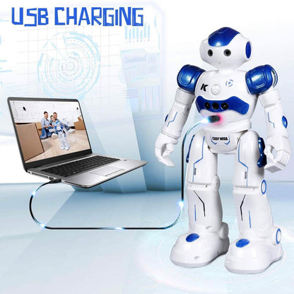 Gesture Sensing Remote Control Robot Toy for Kids DailySale