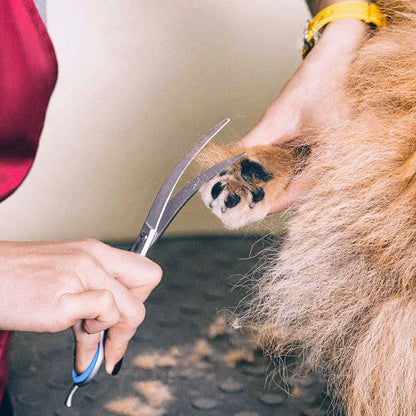 Gimars 6-in-1 Professional Stainless Steel Safety Pet Grooming Scissors DailySale