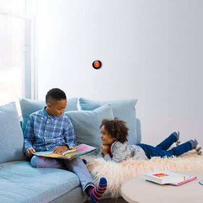Google Nest Learning Thermostat (3rd Generation) DailySale