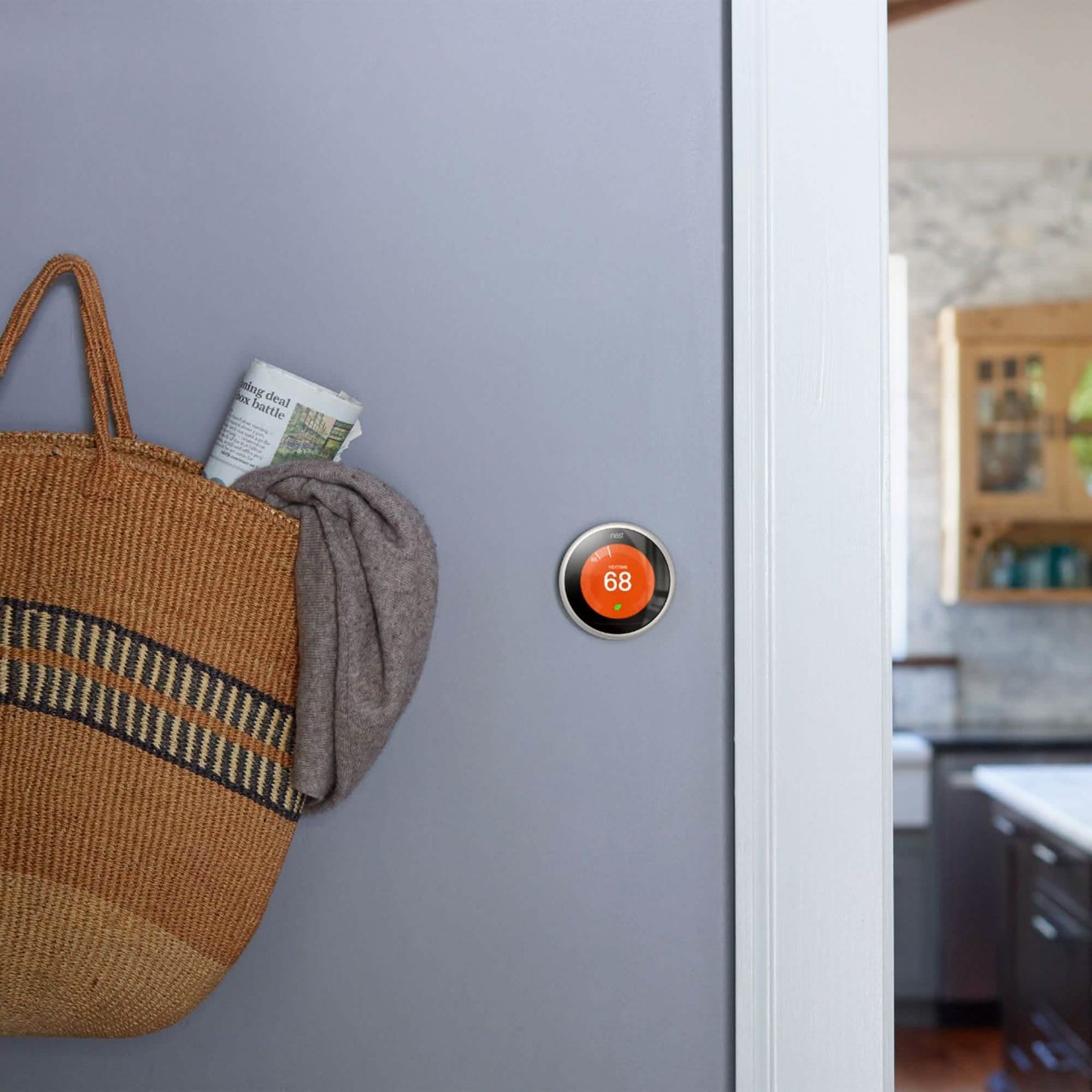Google Nest Learning Thermostat (3rd Generation) DailySale