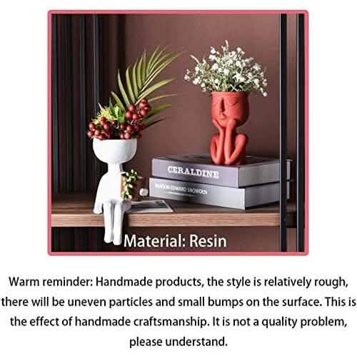 Greneric Character Portrait Flower Pot Resin Succulents Plant Pot DailySale