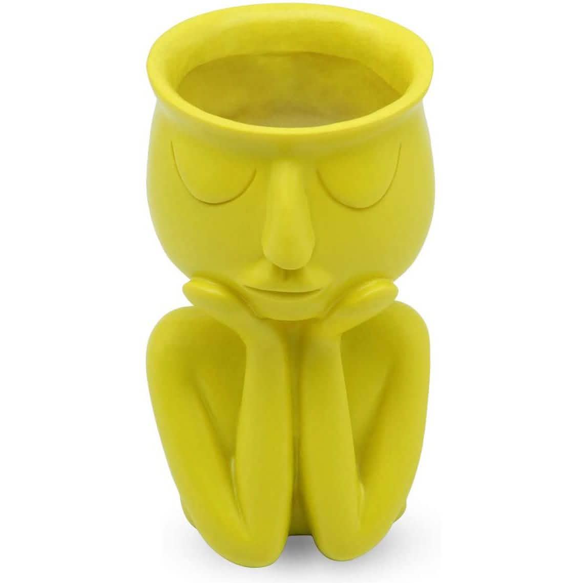 Greneric Character Portrait Flower Pot Resin Succulents Plant Pot DailySale