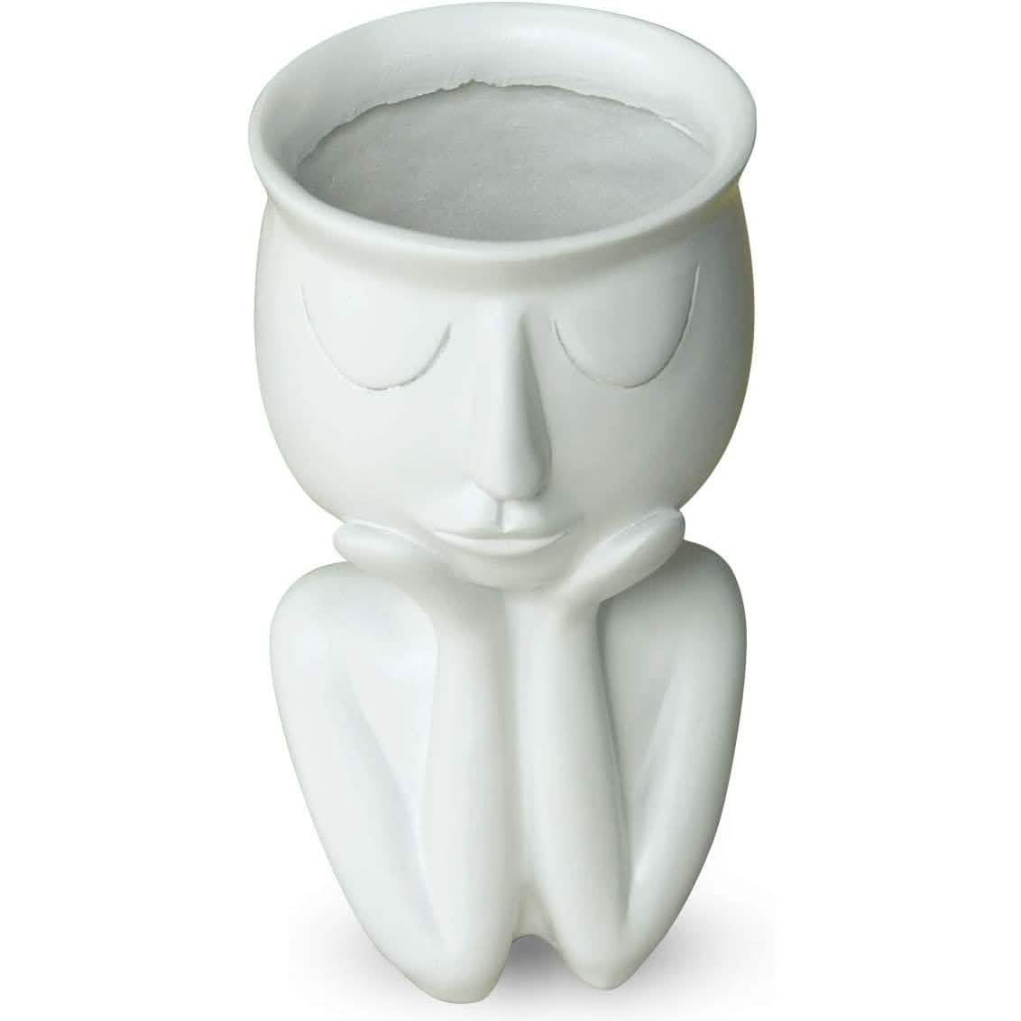 Greneric Character Portrait Flower Pot Resin Succulents Plant Pot DailySale