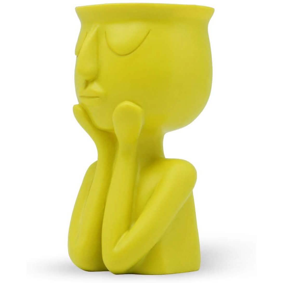 Greneric Character Portrait Flower Pot Resin Succulents Plant Pot DailySale