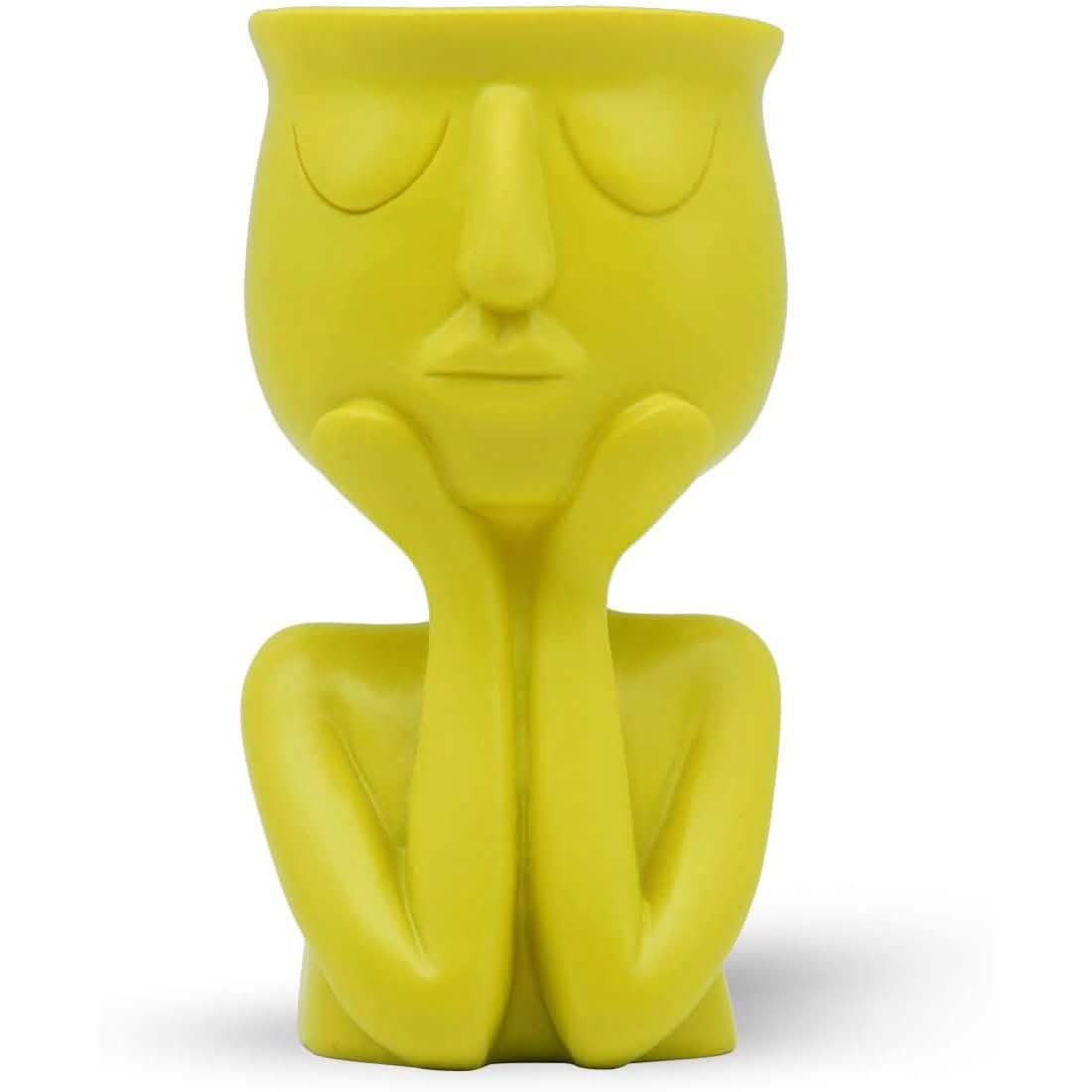 Greneric Character Portrait Flower Pot Resin Succulents Plant Pot DailySale