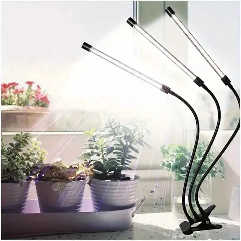 Grow Lights for Seed Starting Auto ON & Off Full Spectrum LED Plant Lights with Timer DailySale