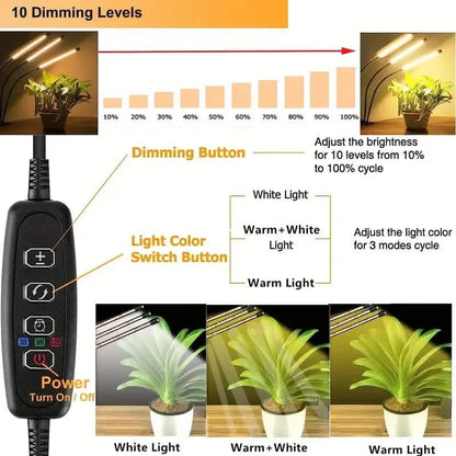 Grow Lights for Seed Starting Auto ON & Off Full Spectrum LED Plant Lights with Timer DailySale