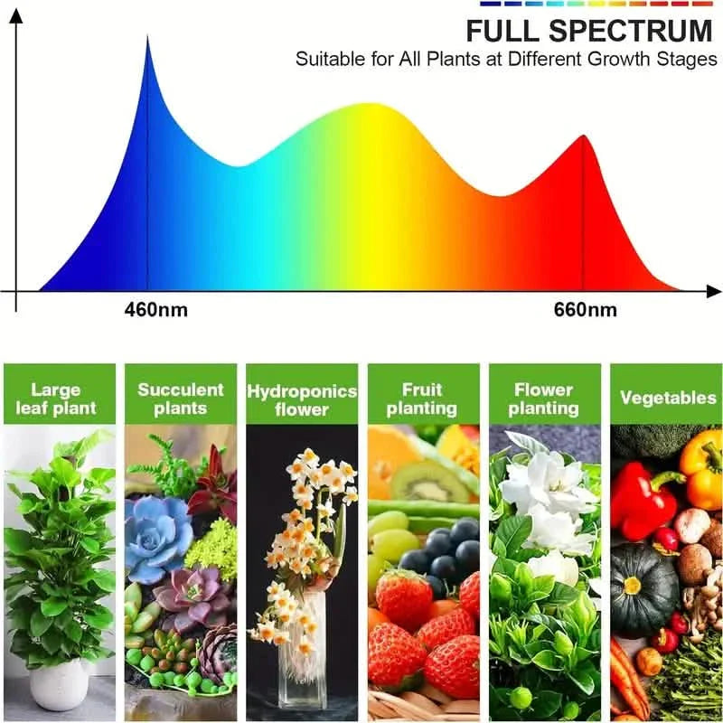 Grow Lights for Seed Starting Auto ON & Off Full Spectrum LED Plant Lights with Timer DailySale