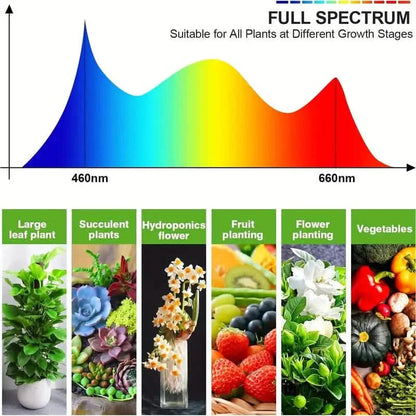 Grow Lights for Seed Starting Auto ON & Off Full Spectrum LED Plant Lights with Timer DailySale