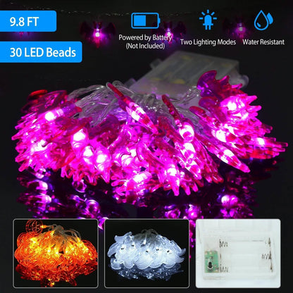 Halloween 30 LED String Lights DailySale