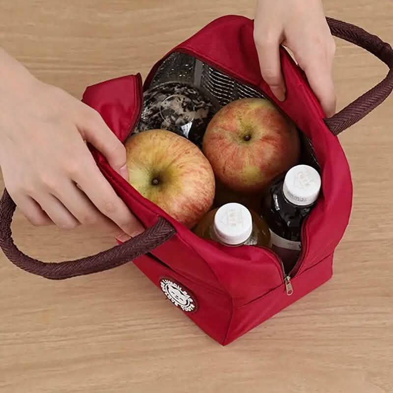 Handheld Lunch Box Insulation Bag DailySale