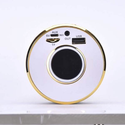 Karaoke Handheld Wireless Bluetooth Microphone DailySale