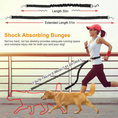 Hands Free Dogs Leash Waist Belt DailySale