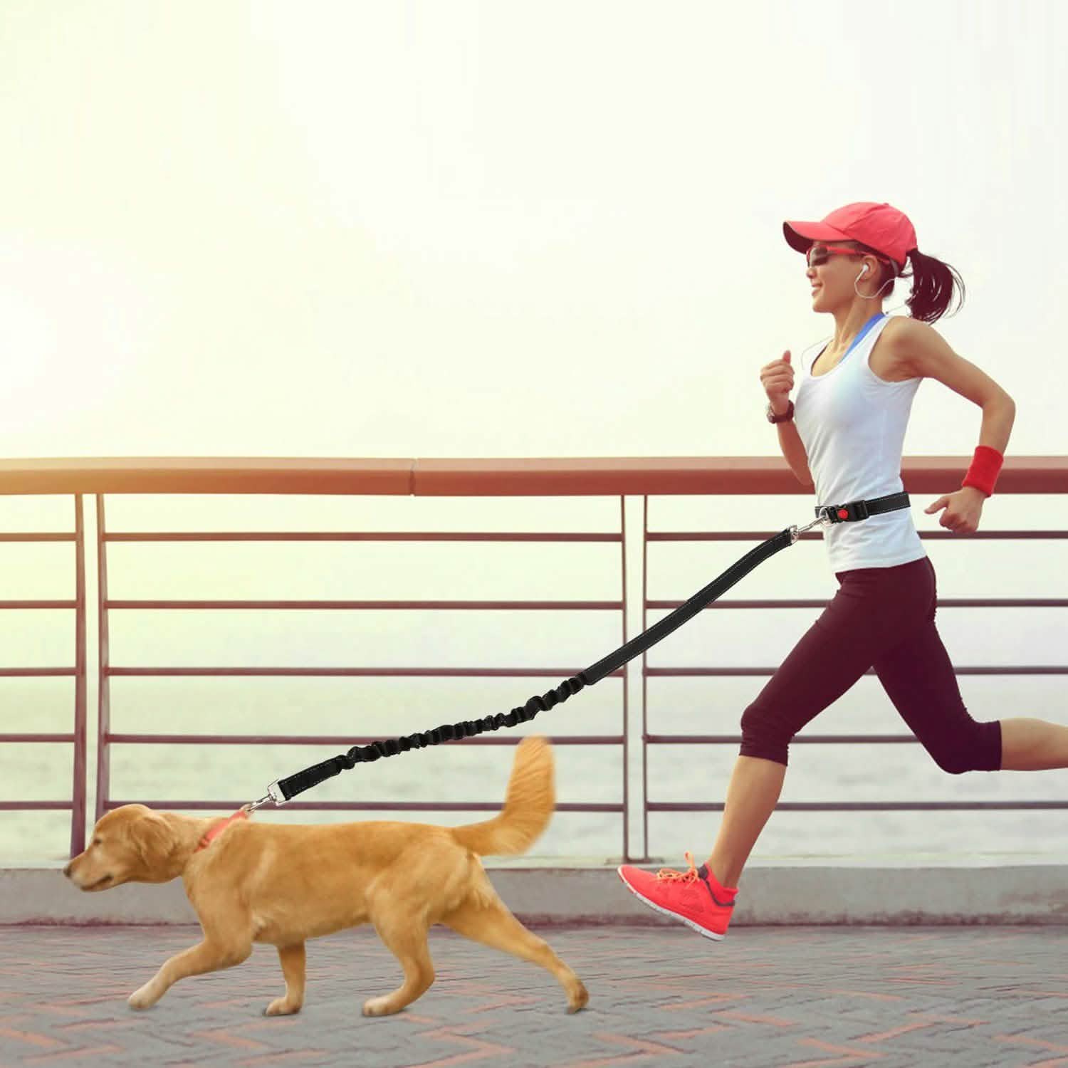 Hands Free Dogs Leash Waist Belt DailySale