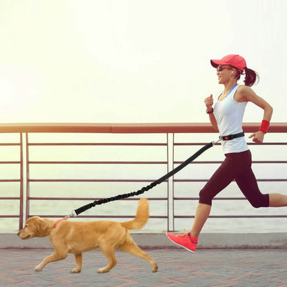 Hands Free Dogs Leash Waist Belt DailySale