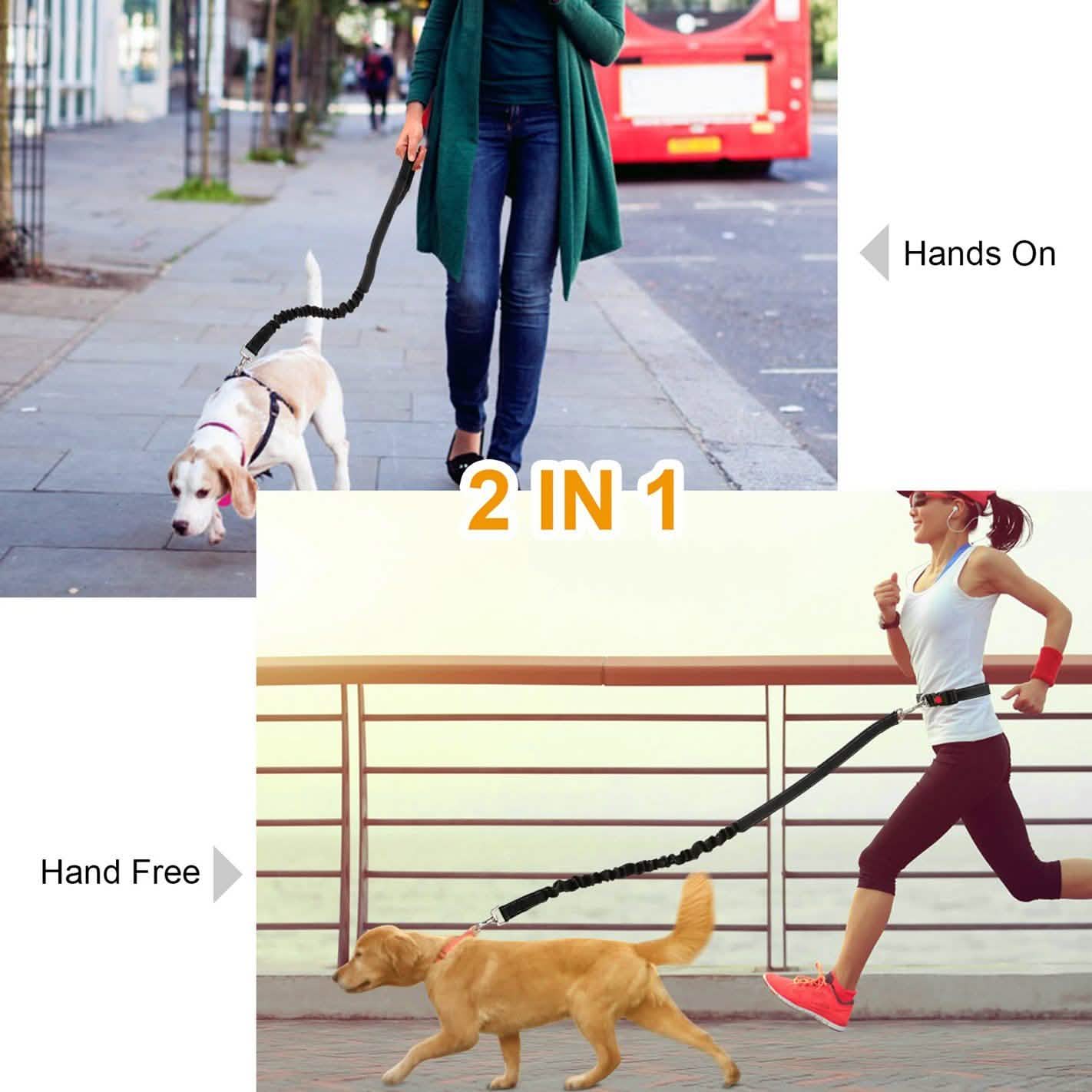 Hands Free Dogs Leash Waist Belt DailySale