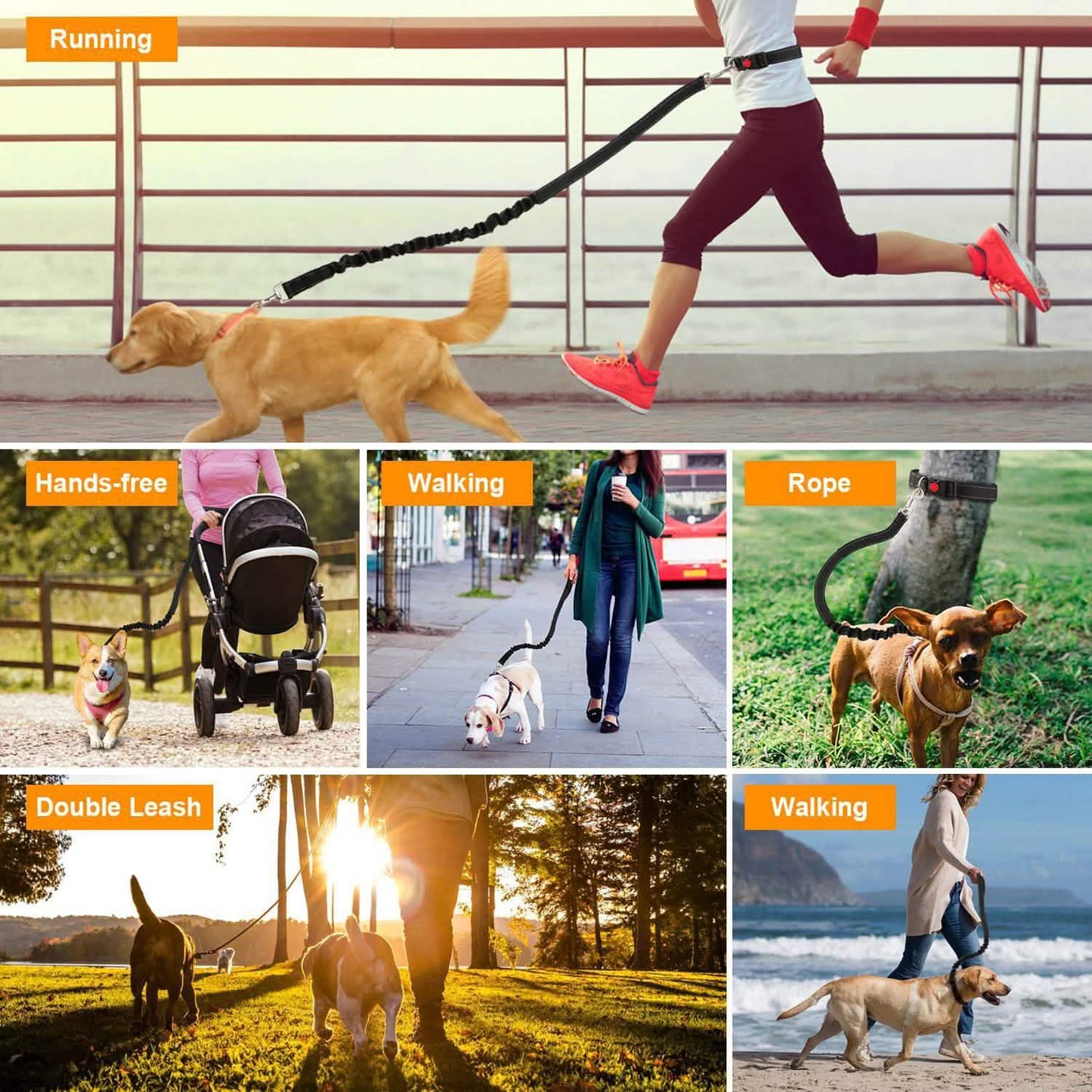 Hands Free Dogs Leash Waist Belt DailySale