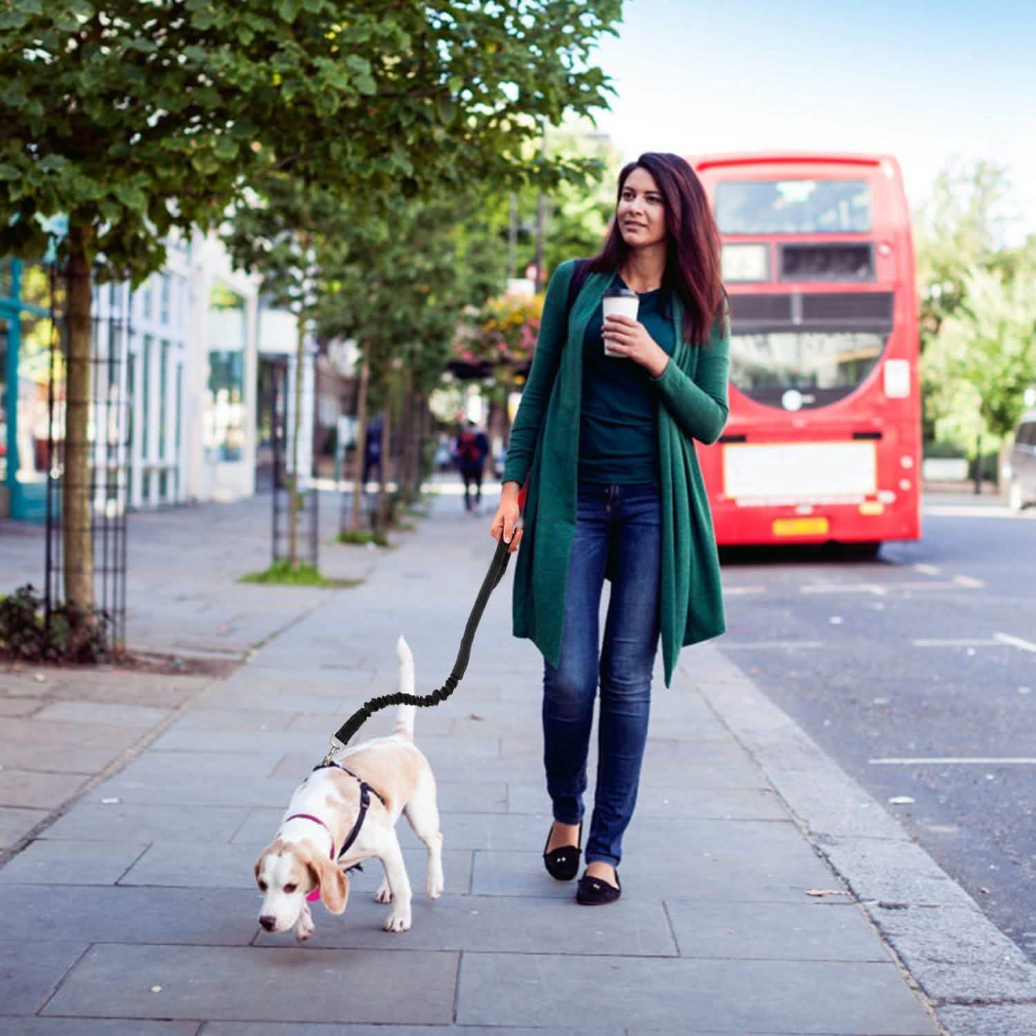 Hands Free Dogs Leash Waist Belt DailySale