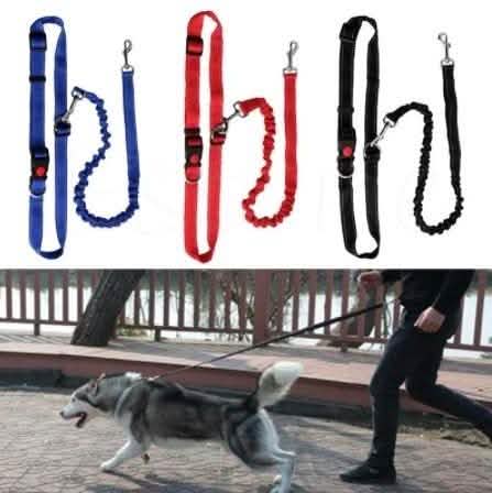 Hands Free Running Bungee Dog Leash - Assorted Colors DailySale