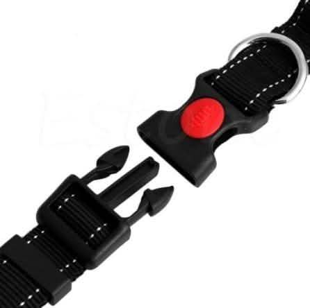 Hands Free Running Bungee Dog Leash - Assorted Colors DailySale