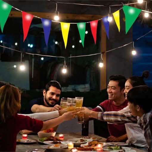 Hearth and Haven Multi-Colored LED Bunting Outdoor Lighting DailySale