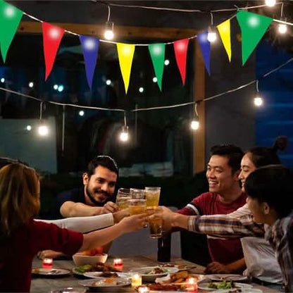Hearth and Haven Multi-Colored LED Bunting Outdoor Lighting DailySale