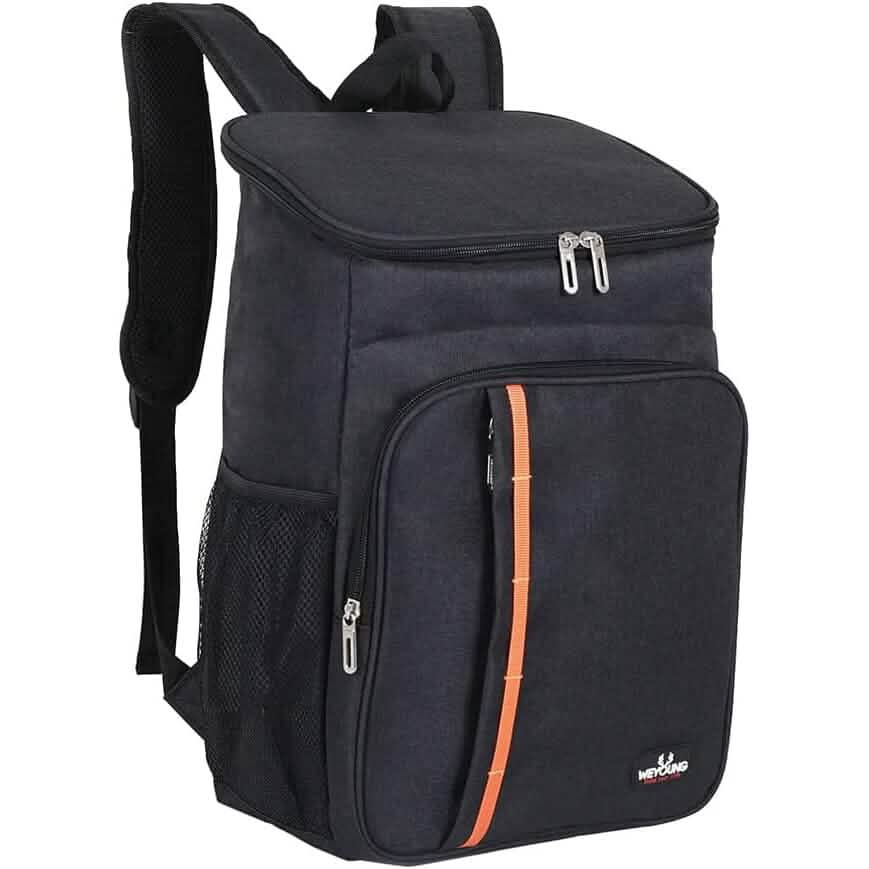 Heavy Duty Oxford Fabric Cooler Backpack DailySale