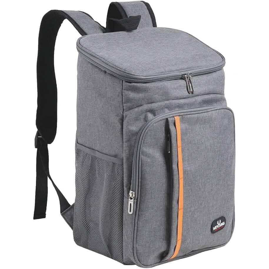 Heavy Duty Oxford Fabric Cooler Backpack DailySale