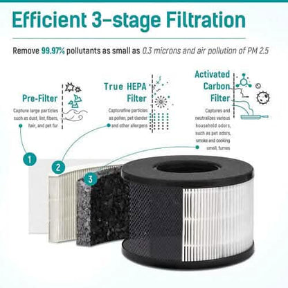 HEPA Air Purifier - Smoke Air Purifiers for Home with Fragrance Sponge DailySale