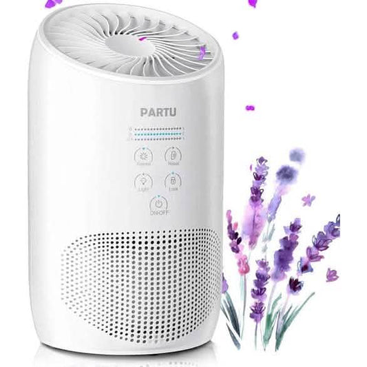 HEPA Air Purifier - Smoke Air Purifiers for Home with Fragrance Sponge DailySale