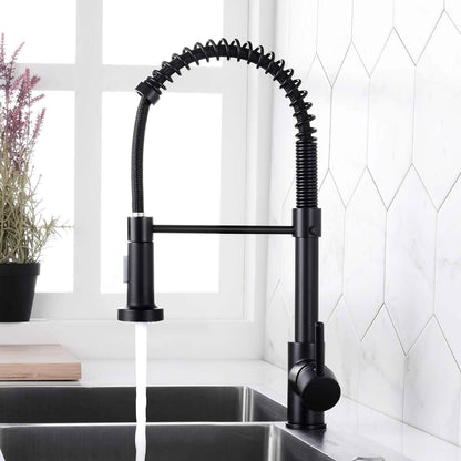High Arc Spring Kitchen Sink Faucet DailySale