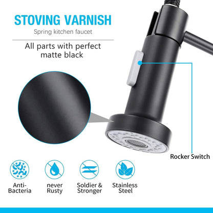 High Arc Spring Kitchen Sink Faucet DailySale