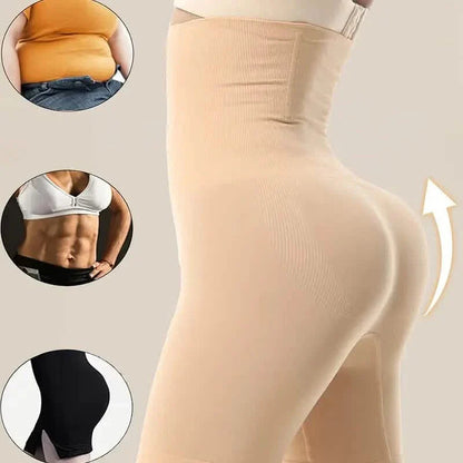 High Waist Tummy Control Shaping Panties DailySale
