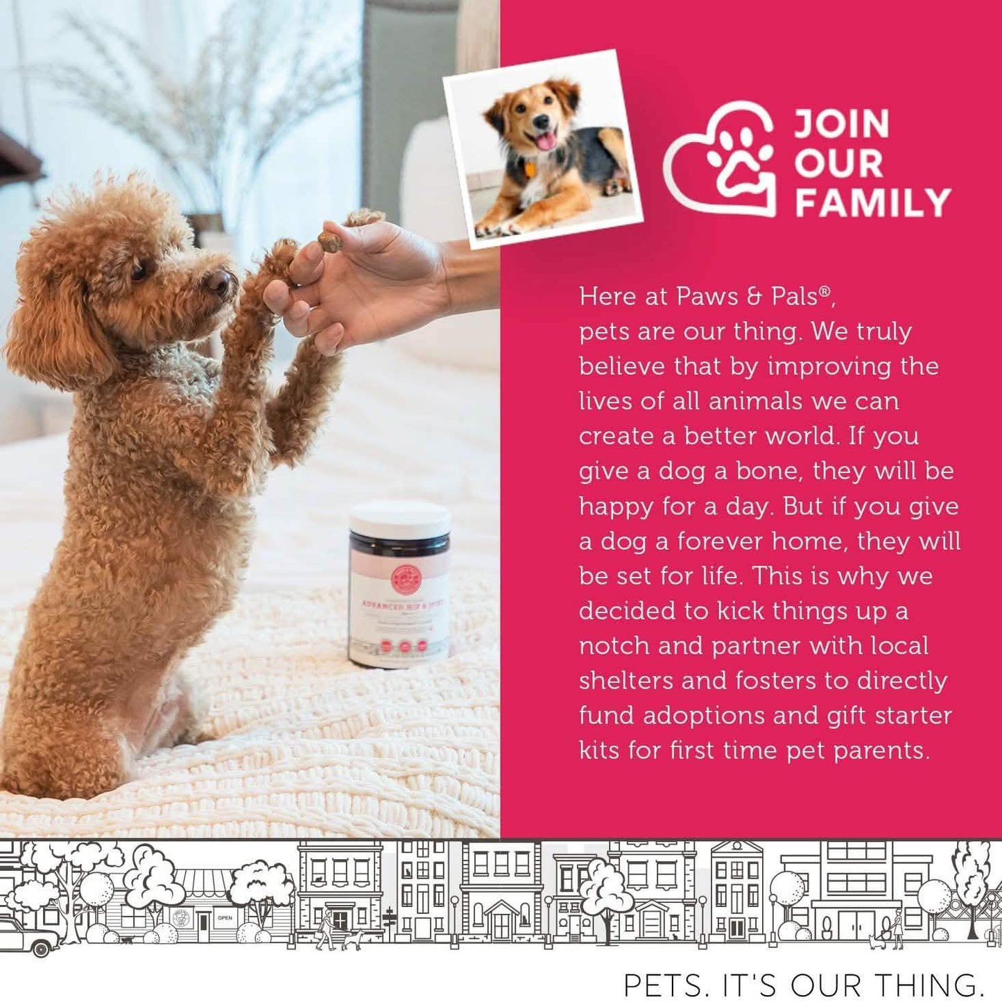 Hip and Joint Advanced Level 2 Formula All Natural Glucosamine Supplement for Dogs and Cat DailySale