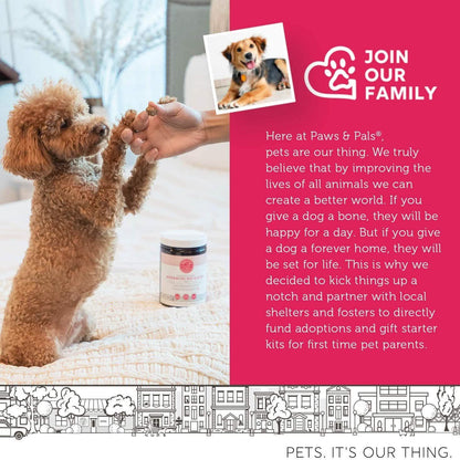 Hip and Joint Advanced Level 2 Formula All Natural Glucosamine Supplement for Dogs and Cat DailySale