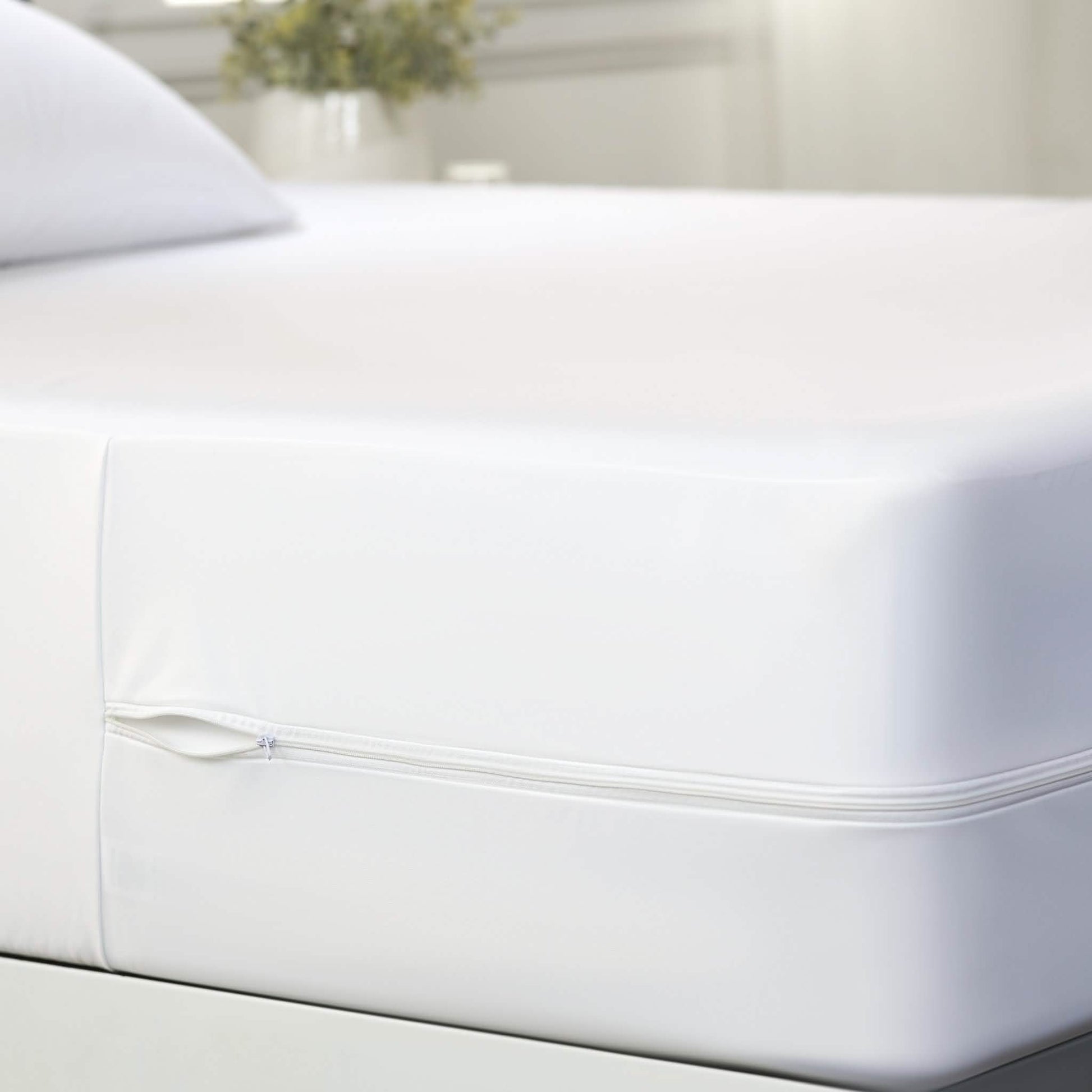 Home Collection Total Protection 6-Sided Mattress Encasement DailySale