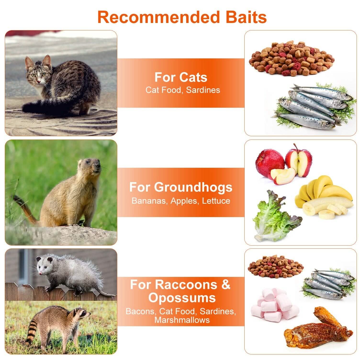 Humane Catch Release Live Animal Collapsible Galvanized Wire Trap Cage DailySale