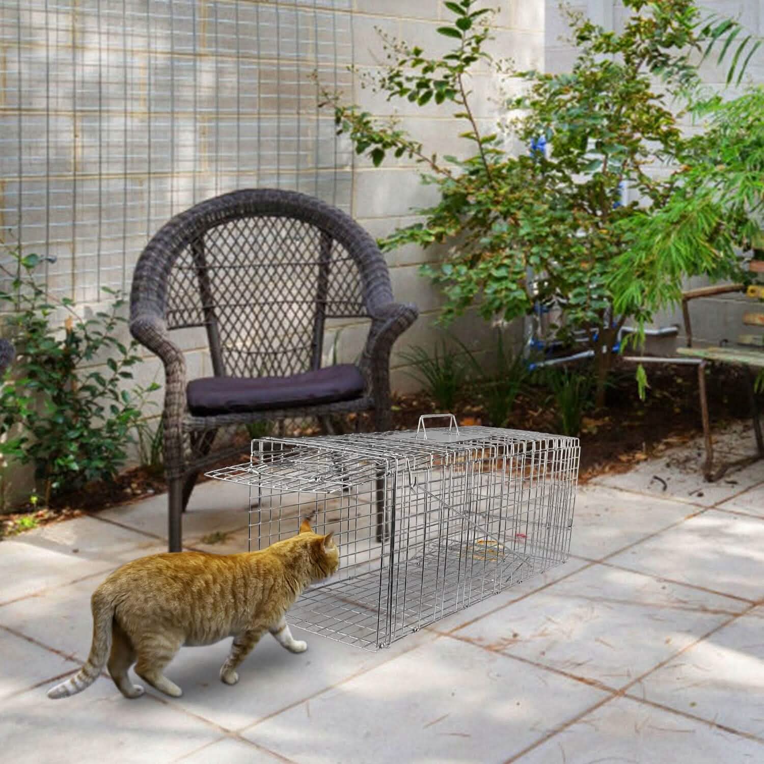 Humane Catch Release Live Animal Collapsible Galvanized Wire Trap Cage DailySale