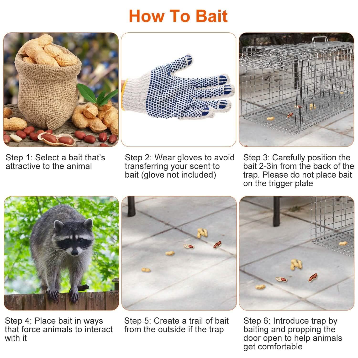 Humane Catch Release Live Animal Collapsible Galvanized Wire Trap Cage DailySale
