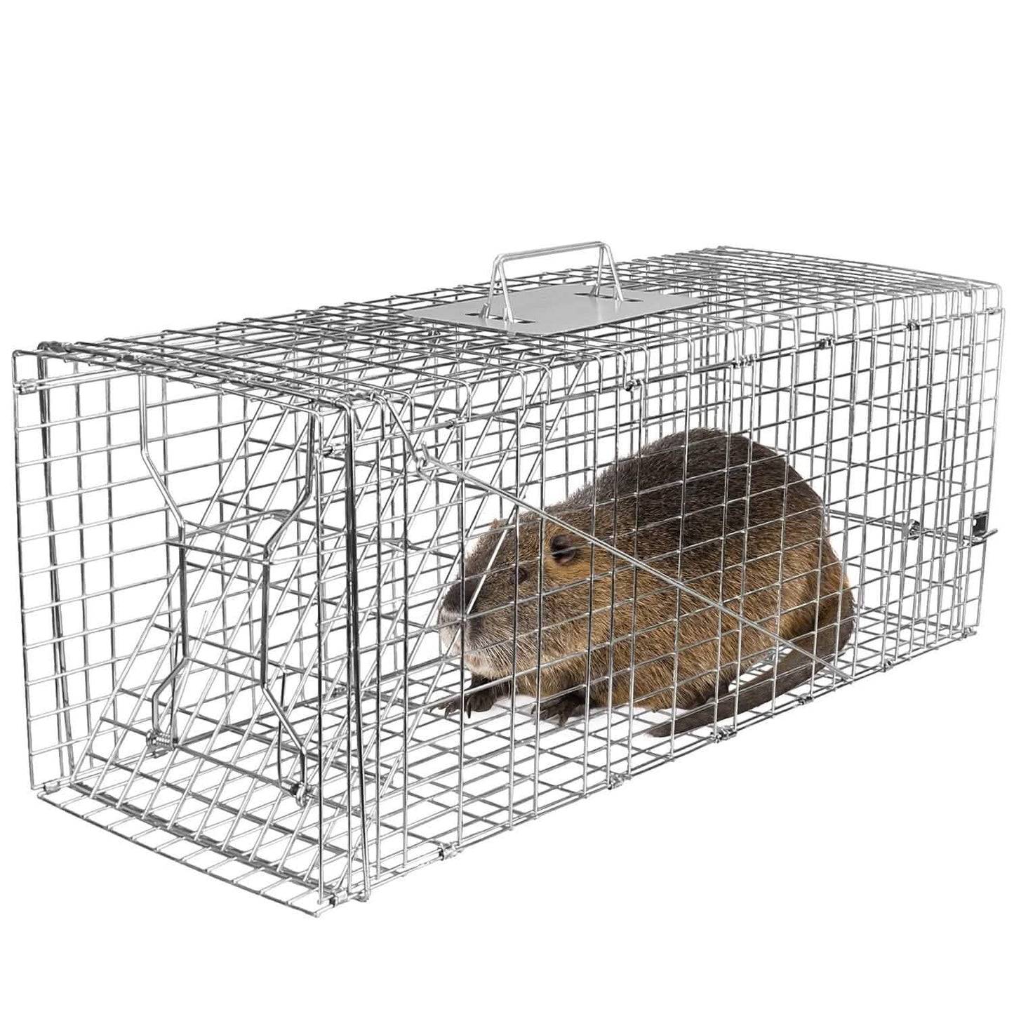 Humane Catch Release Live Animal Collapsible Galvanized Wire Trap Cage DailySale