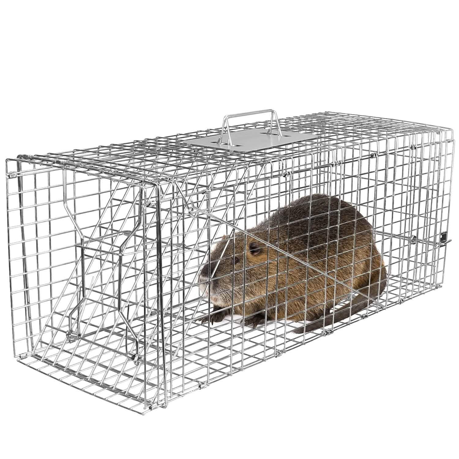 Humane Catch Release Live Animal Collapsible Galvanized Wire Trap Cage DailySale
