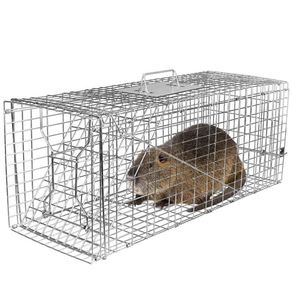 Humane Catch Release Live Animal Collapsible Galvanized Wire Trap Cage DailySale