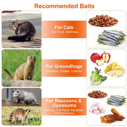 Humane Live Animal Rodent Cage Collapsible Galvanized Wire DailySale