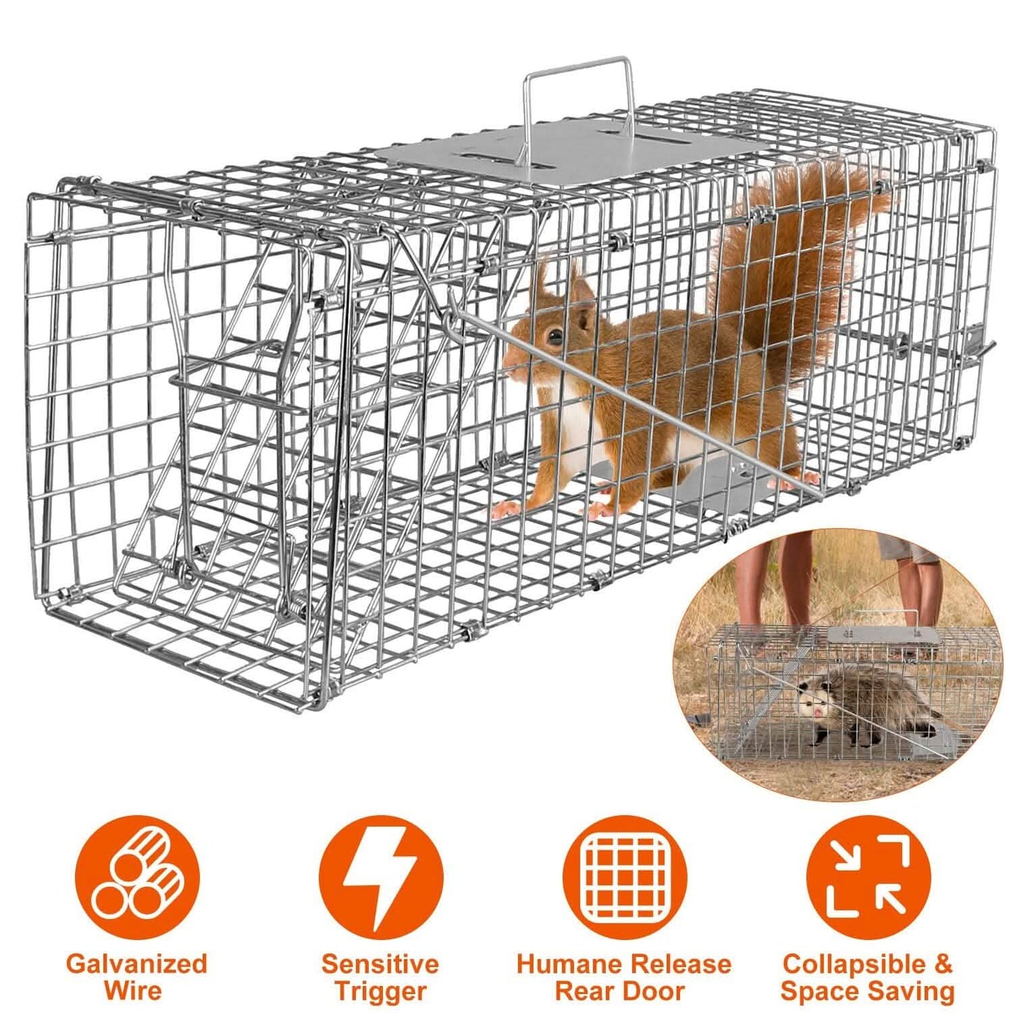 Humane Live Animal Rodent Cage Collapsible Galvanized Wire DailySale