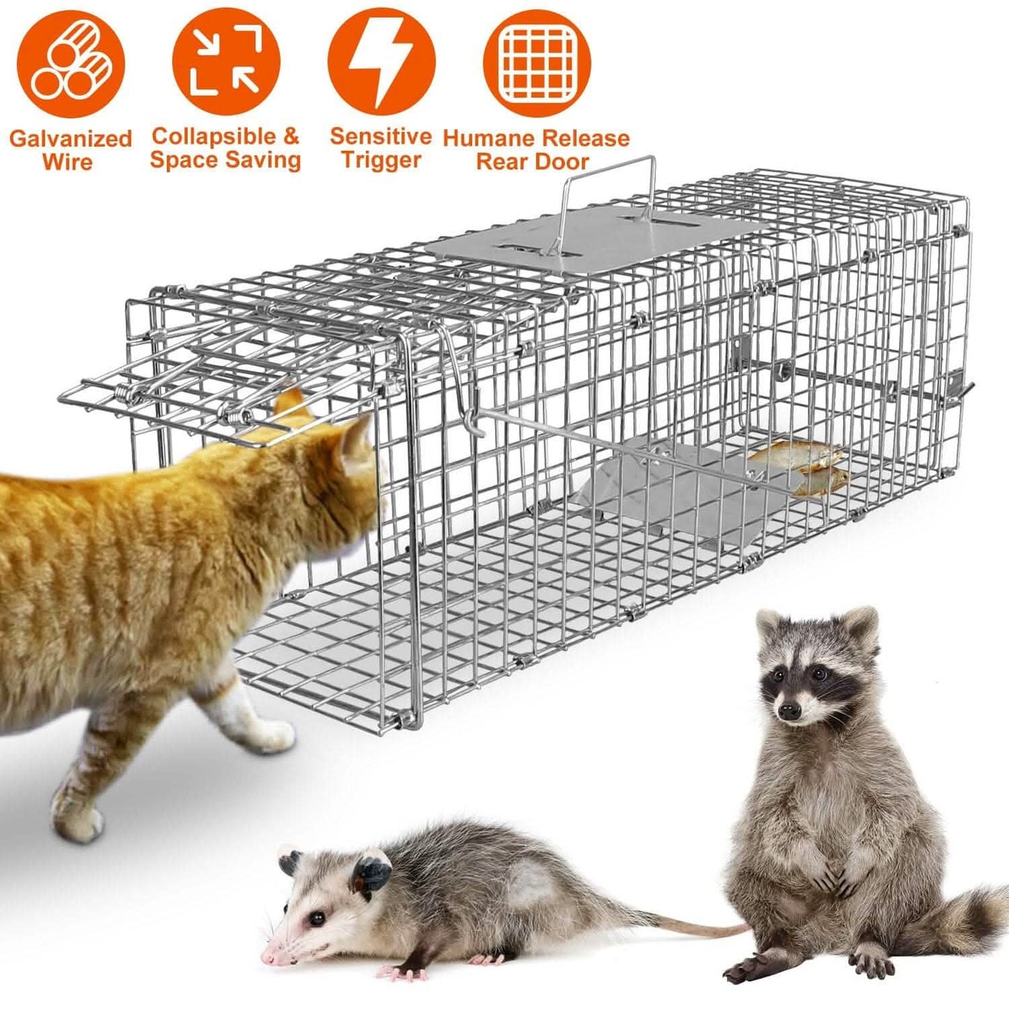 Humane Live Animal Rodent Cage Collapsible Galvanized Wire DailySale