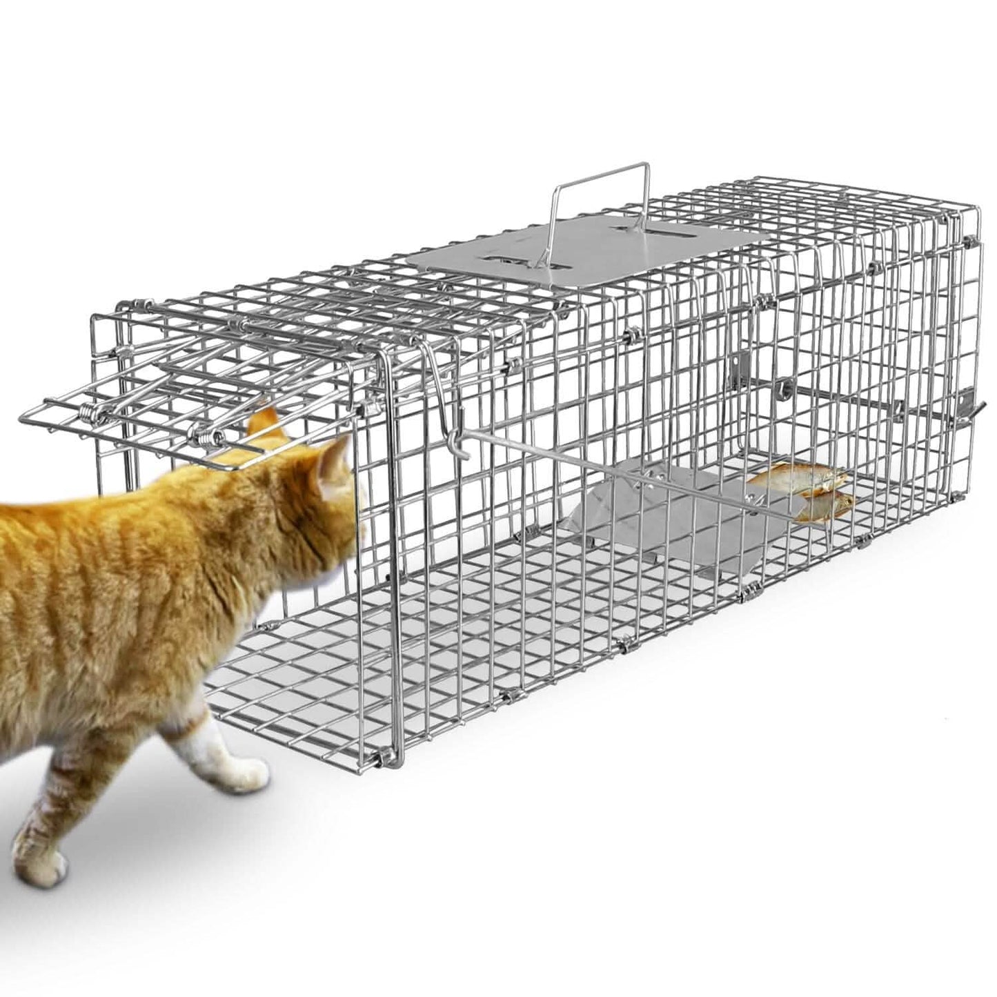 Humane Live Animal Rodent Cage Collapsible Galvanized Wire DailySale